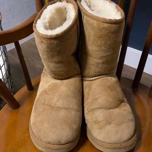 Short classic chestnut Ugg boots